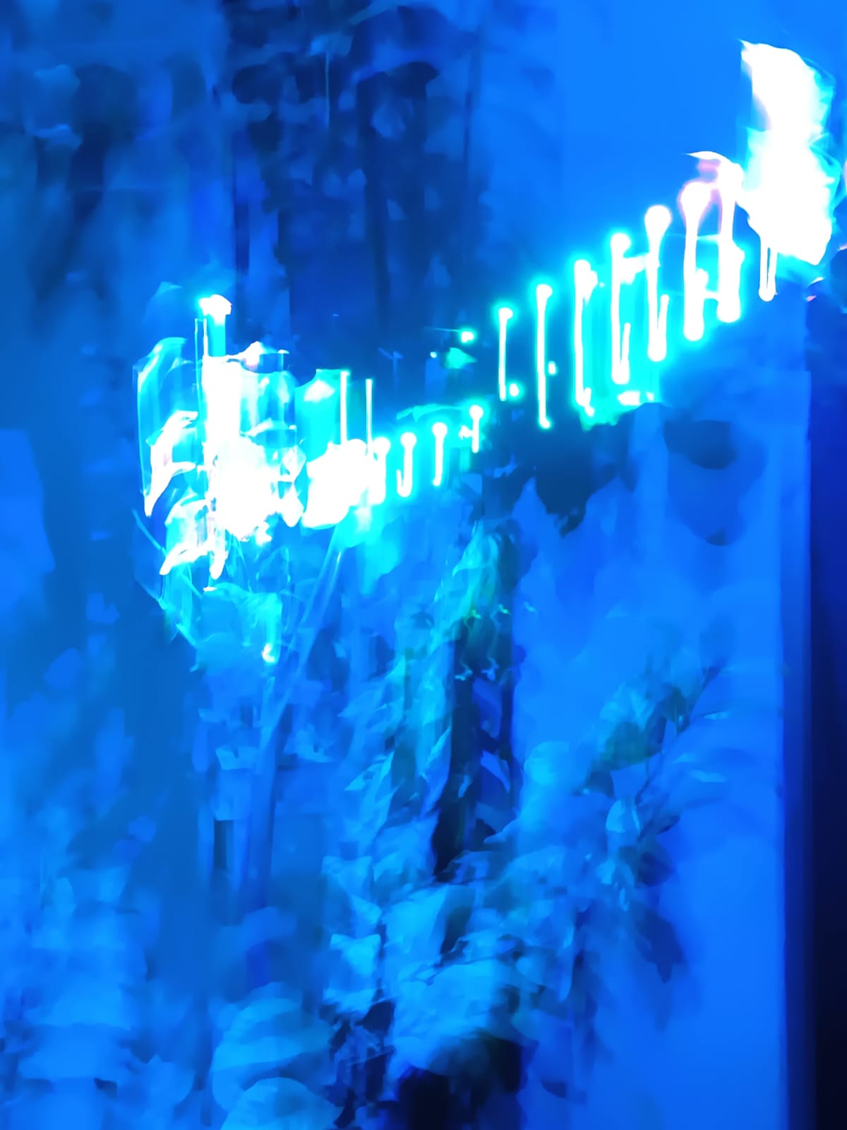 Descripción de la imagen